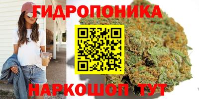 PSILOCYBIN Свободный
